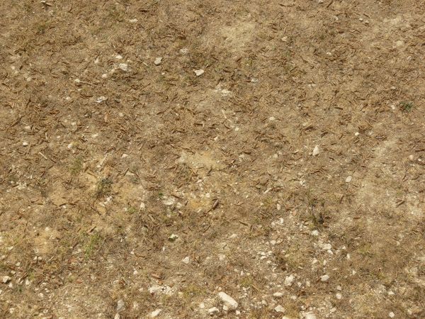 Brown grass on stones texture, with small green patches, small white rocks and other debris